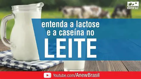 A Lactose no Leite de Vaca