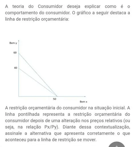 A Teoria Racional e o Comportamento do Consumidor