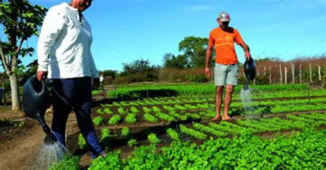 Agricultura e Sedentarismo