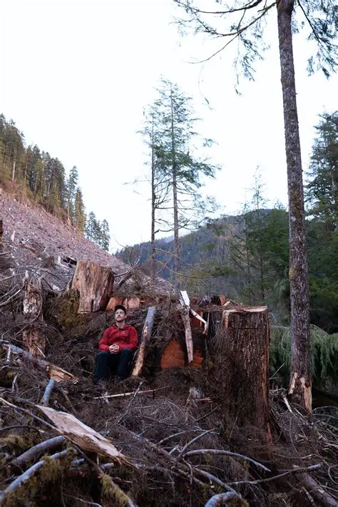 Attention to age after logging