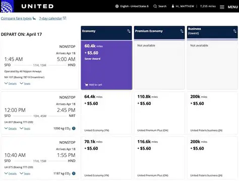 Browse through flight options