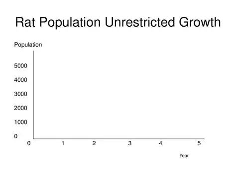 Calculating the Initial Rat Population
