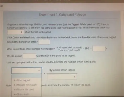 Calculating the Proportion of Tagged Fish Recaptured