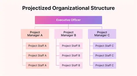 Check the Project Structure