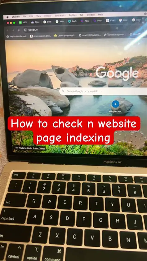 Check website page indexing