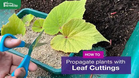 Choose a combination of planting media and length of cuttings