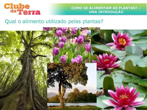 Como as Plantas se Imunizam