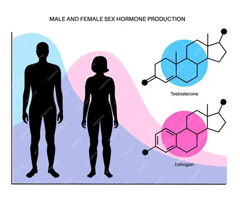 Creating an Infographic about Hormones