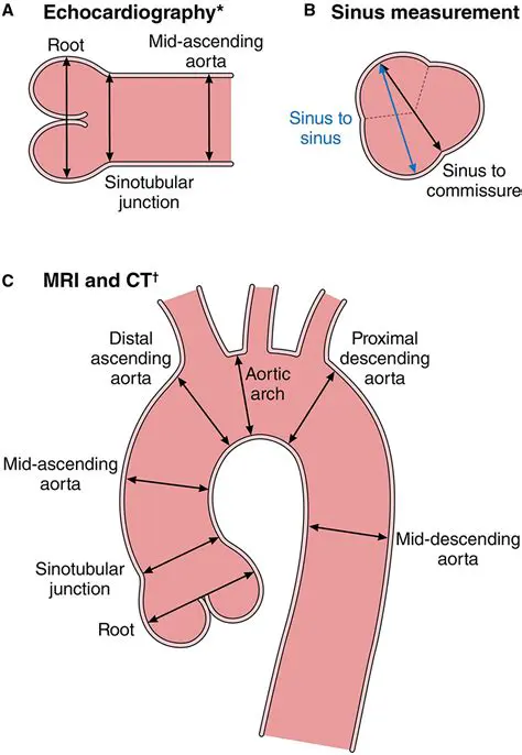 CT Coronal in the Diagnosis and Management of Rinosinusitis