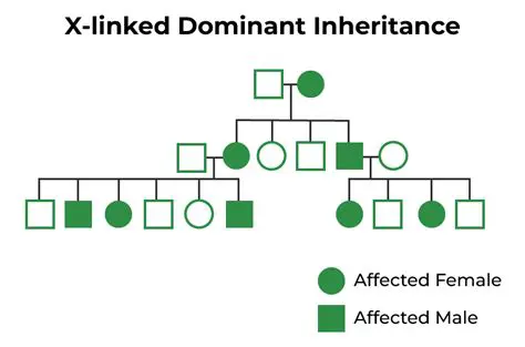 Deeper Analysis of the Dominant Factor