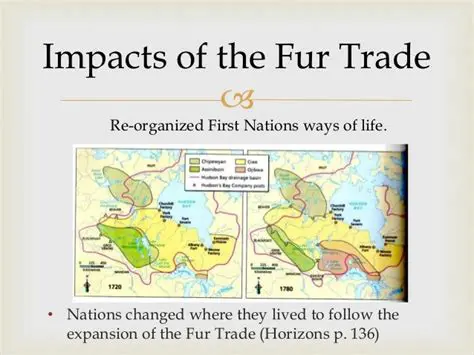 Environmental Effects of the Fur Trade