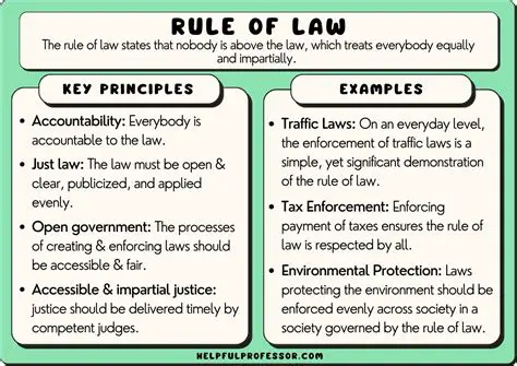 Examples of Common Law in Action