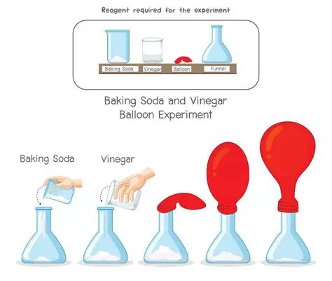 Experiment with the System