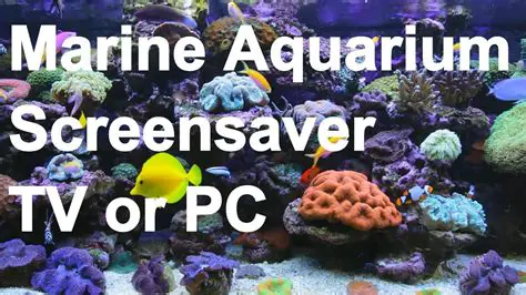 Features of Living Marine Aquarium 2