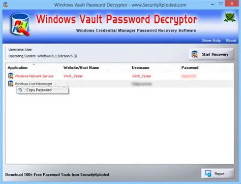 Features of Windows Vault Password Decryptor