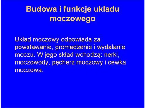 Gromadzenie i wydalanie moczu