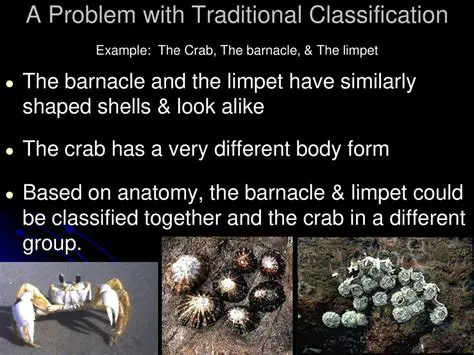 History of Traditional Classification