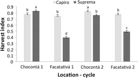Humic Psammentric Dystrudepts