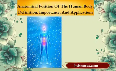 Importance of the Anatomical Position