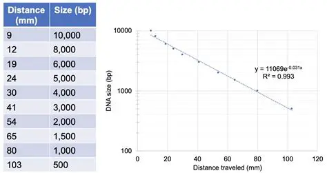 Increasing the fragment size limit