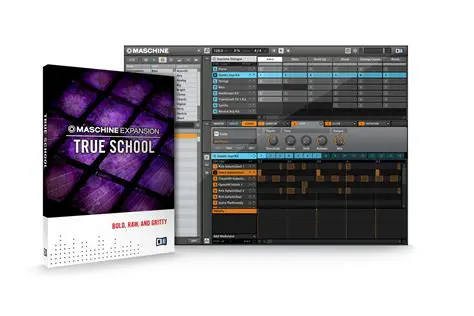 Key Features of Native Instruments True School