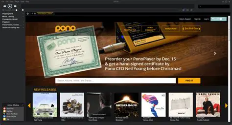 Key Features of PonoMusic World