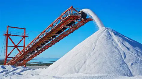 La Naturaleza Salina de las Sales