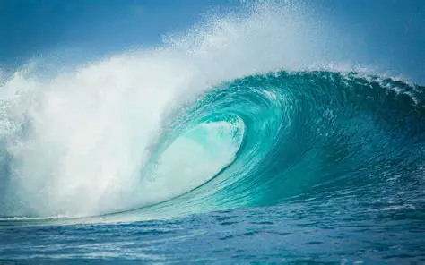 La Rencontre avec la Vague