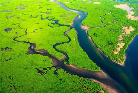 Land Close to a River or Harbor