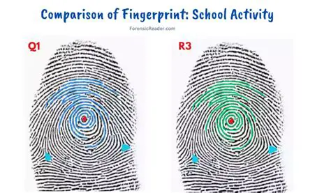 Multiple Sets of Fingerprints