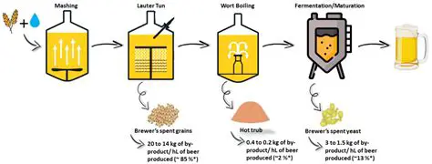 Overview of the Beer Brewing Process