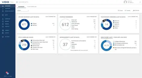 Overview of VDO Fleet Manager 2002 Professional