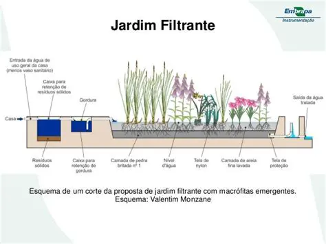 Perguntas e Respostas sobre a Lagoa Terminal em um Jardim Filtrante