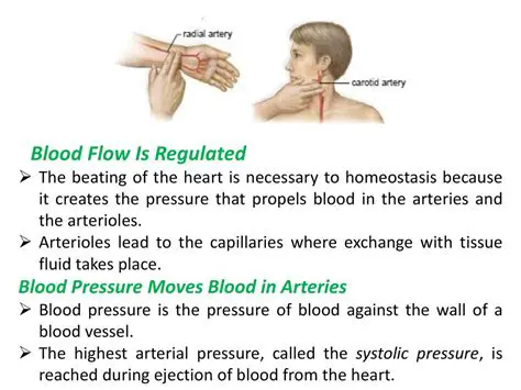 Reached during the ejection of blood from the heart