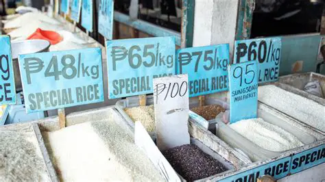 Rice Prices in the International Market