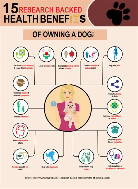 The Benefits of Dogs Match