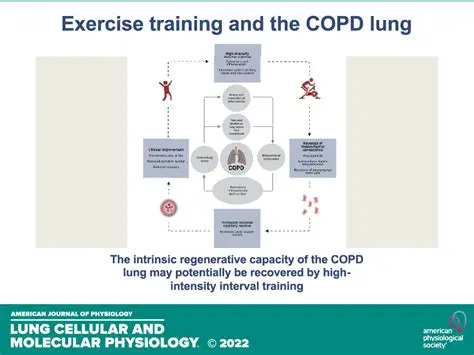 The Effect of Pregnant Exercise on Lung Ventilation in Primigravida