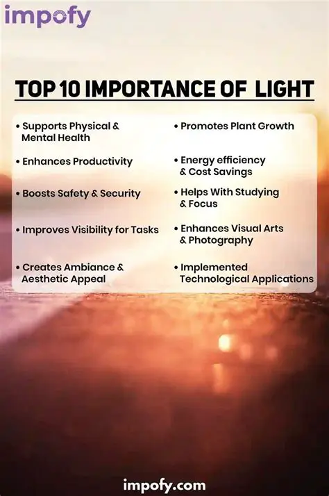 The Importance of Lighting Sources in Tissue Culture