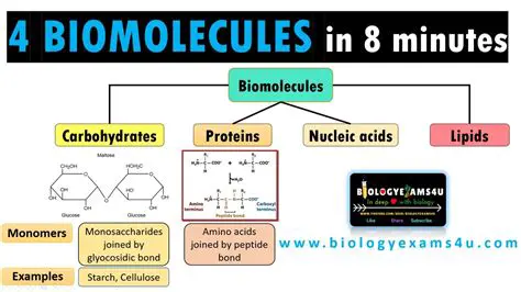 The Importance of Molecules