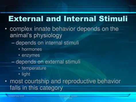 The Interplay between External and Internal Stimuli