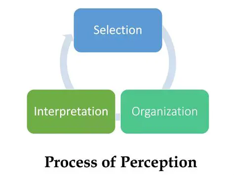 The Role of Focus in Perception
