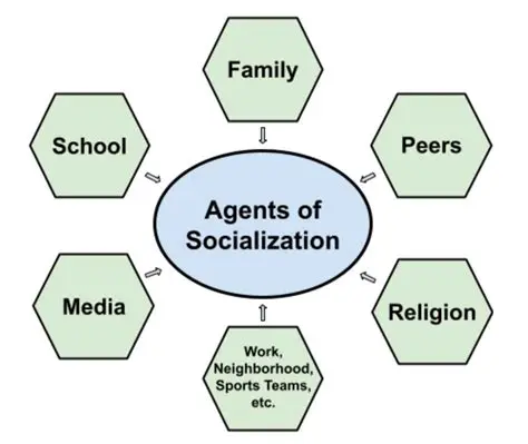 The Role of Socialization and Facilitation in Community Participation