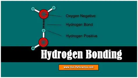 The Science Behind Hydrogen Bonding
