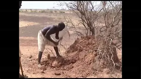 The Significance of Iron in Ancient Africa