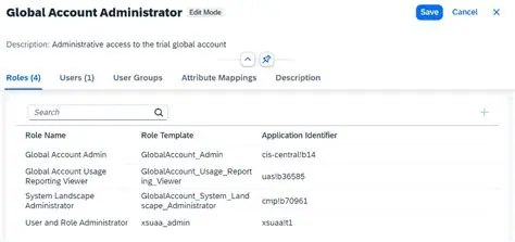 Understanding Custom Roles and Role Collections