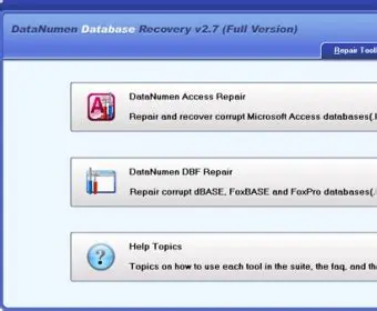 Understanding DataNumen Database Recovery