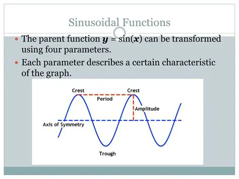 Understanding the Amplitude of a Sinusoidal Function