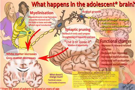 Understanding the Complexities of Adolescent Brain Development