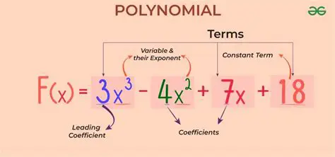 Understanding the Process of Polynomial Division