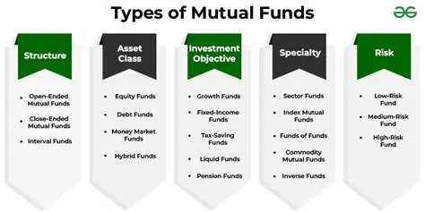 Understanding Village Funds and Their Importance